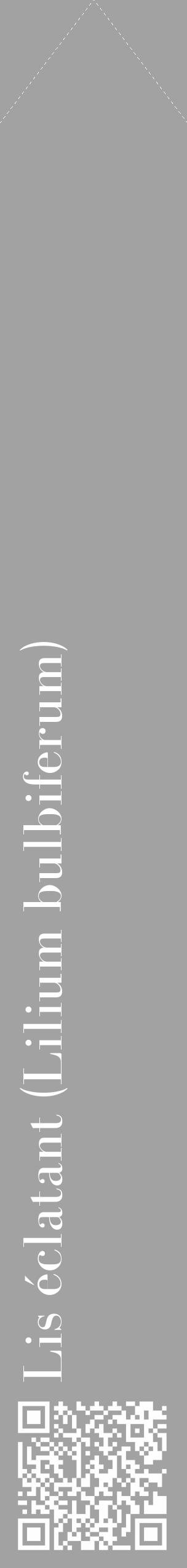 Étiquette de : Lilium bulbiferum - format c - style blanche38_simple_simplebod avec qrcode et comestibilité - position verticale