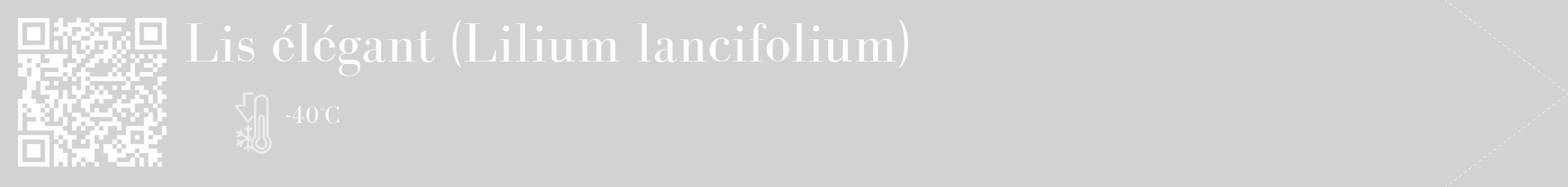 Étiquette de : Lilium lancifolium - format c - style blanche14_simple_simplebod avec qrcode et comestibilité