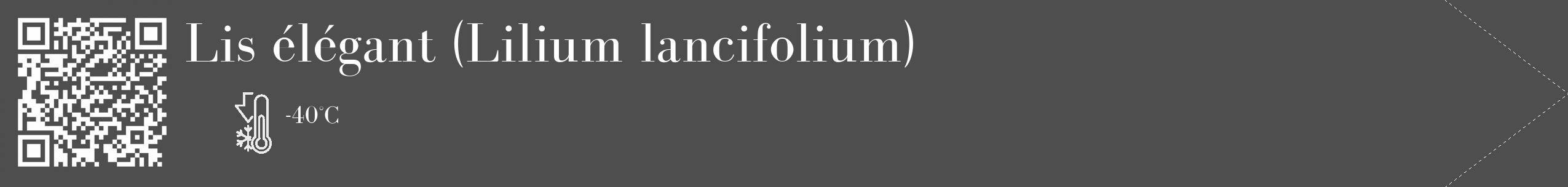 Étiquette de : Lilium lancifolium - format c - style blanche33_simple_simplebod avec qrcode et comestibilité