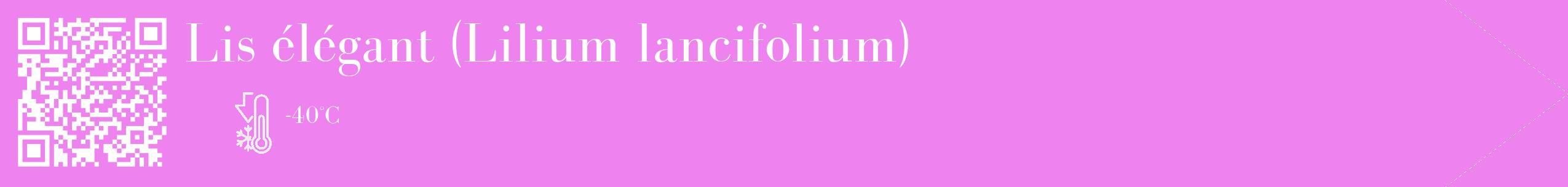 Étiquette de : Lilium lancifolium - format c - style blanche53_simple_simplebod avec qrcode et comestibilité
