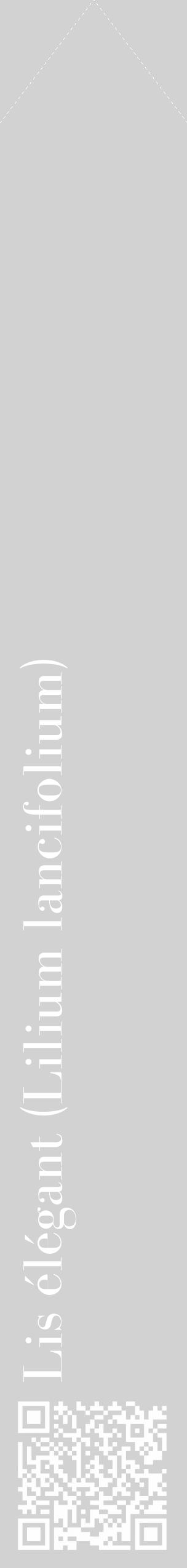 Étiquette de : Lilium lancifolium - format c - style blanche14_simple_simplebod avec qrcode et comestibilité - position verticale