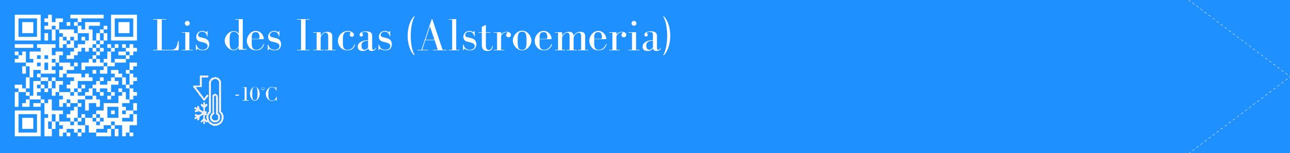 Étiquette de : Alstroemeria - format c - style blanche3_simple_simplebod avec qrcode et comestibilité