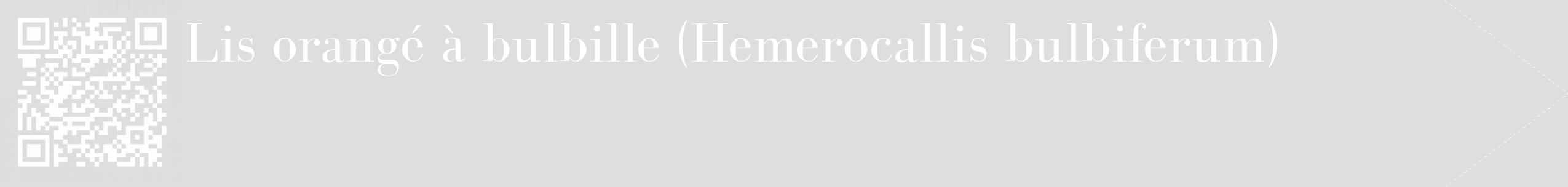 Étiquette de : Hemerocallis bulbiferum - format c - style blanche20_simple_simplebod avec qrcode et comestibilité