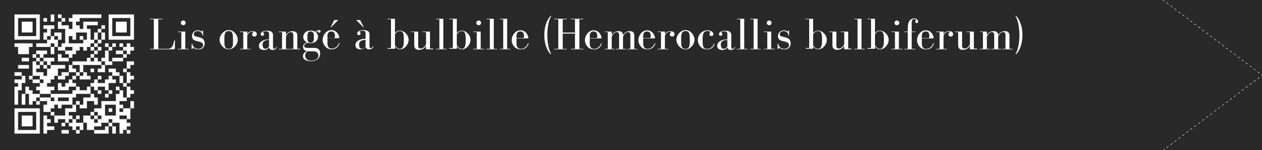 Étiquette de : Hemerocallis bulbiferum - format c - style blanche34_simple_simplebod avec qrcode et comestibilité