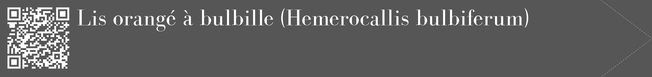 Étiquette de : Hemerocallis bulbiferum - format c - style blanche45_simple_simplebod avec qrcode et comestibilité