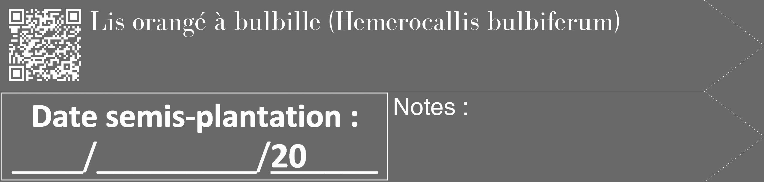 Étiquette de : Hemerocallis bulbiferum - format c - style blanche51_simple_simplebod avec qrcode et comestibilité