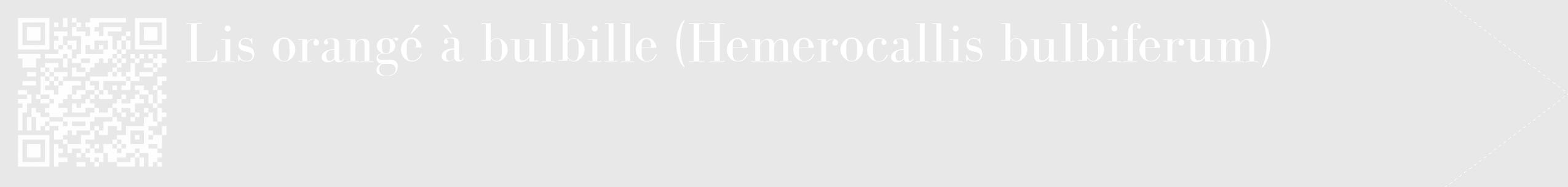 Étiquette de : Hemerocallis bulbiferum - format c - style blanche55_simple_simplebod avec qrcode et comestibilité