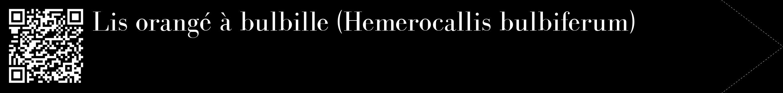 Étiquette de : Hemerocallis bulbiferum - format c - style blanche59_simple_simplebod avec qrcode et comestibilité