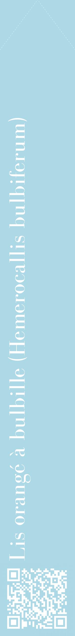 Étiquette de : Hemerocallis bulbiferum - format c - style blanche0_simplebod avec qrcode et comestibilité