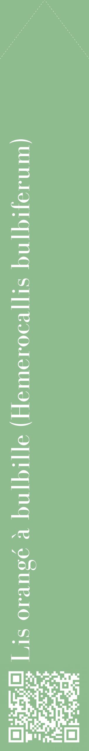 Étiquette de : Hemerocallis bulbiferum - format c - style blanche13_simplebod avec qrcode et comestibilité