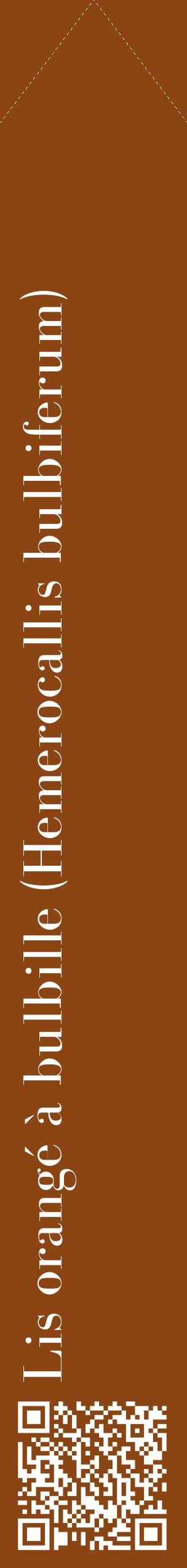 Étiquette de : Hemerocallis bulbiferum - format c - style blanche30_simplebod avec qrcode et comestibilité