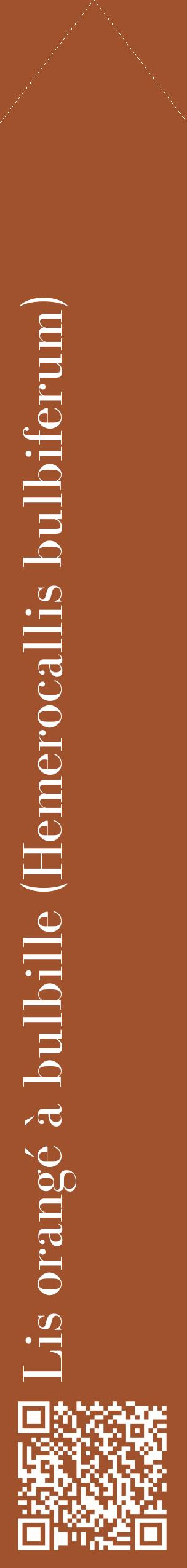 Étiquette de : Hemerocallis bulbiferum - format c - style blanche32_simplebod avec qrcode et comestibilité
