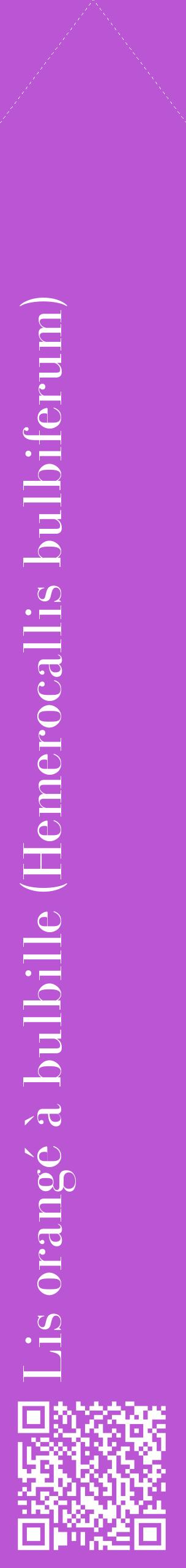 Étiquette de : Hemerocallis bulbiferum - format c - style blanche50_simplebod avec qrcode et comestibilité