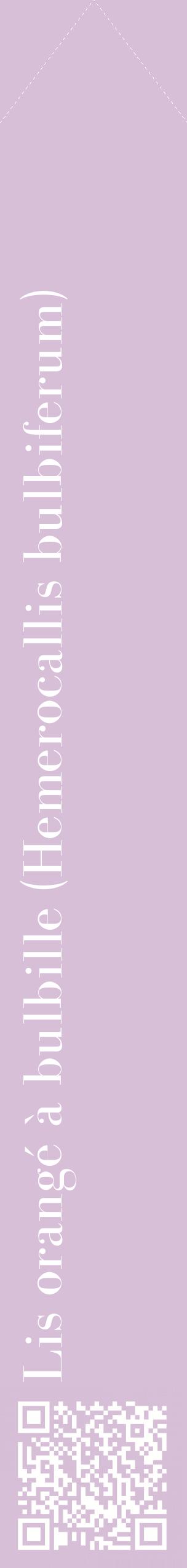 Étiquette de : Hemerocallis bulbiferum - format c - style blanche54_simplebod avec qrcode et comestibilité