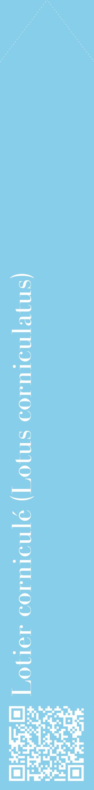Étiquette de : Lotus corniculatus - format c - style blanche1_simplebod avec qrcode et comestibilité