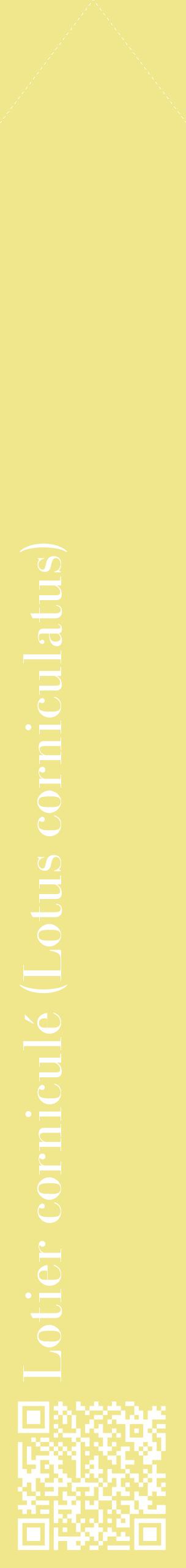 Étiquette de : Lotus corniculatus - format c - style blanche20_simplebod avec qrcode et comestibilité