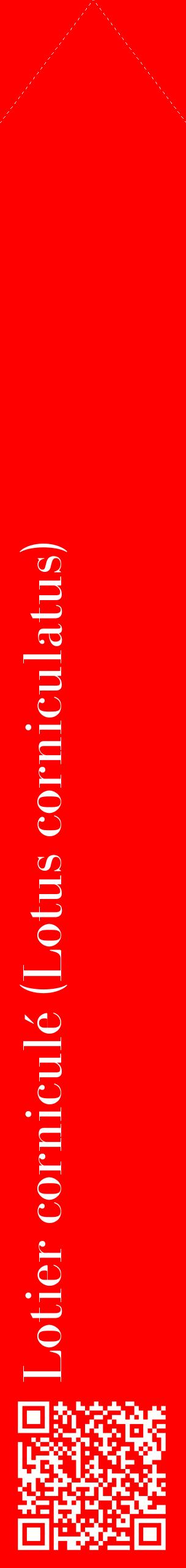 Étiquette de : Lotus corniculatus - format c - style blanche27_simplebod avec qrcode et comestibilité