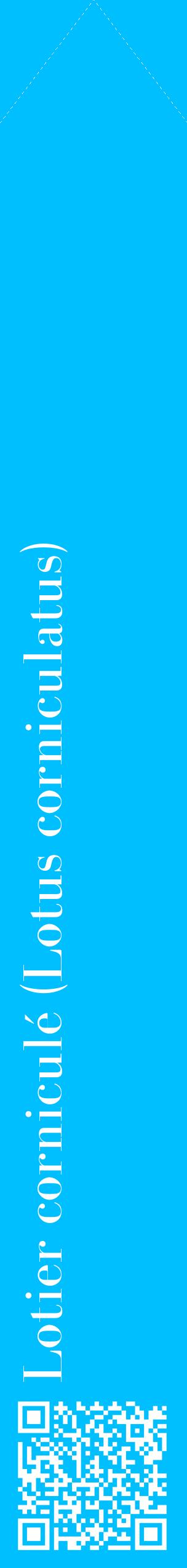Étiquette de : Lotus corniculatus - format c - style blanche2_simplebod avec qrcode et comestibilité
