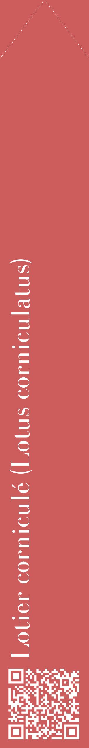 Étiquette de : Lotus corniculatus - format c - style blanche35_simplebod avec qrcode et comestibilité