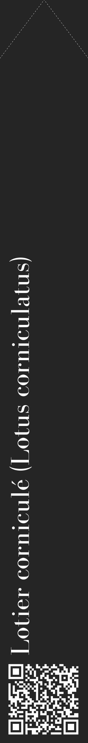 Étiquette de : Lotus corniculatus - format c - style blanche47_simple_simplebod avec qrcode et comestibilité - position verticale