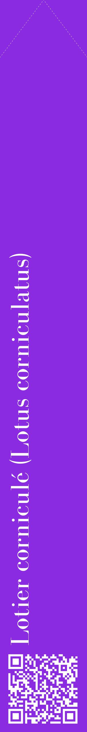 Étiquette de : Lotus corniculatus - format c - style blanche49_simplebod avec qrcode et comestibilité