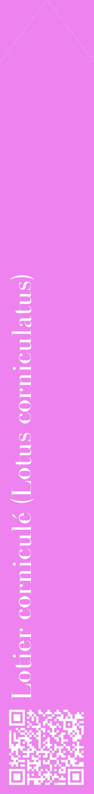 Étiquette de : Lotus corniculatus - format c - style blanche53_simplebod avec qrcode et comestibilité