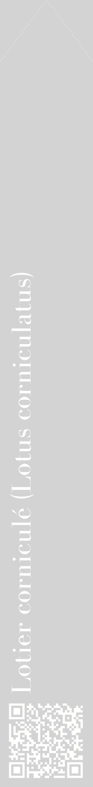Étiquette de : Lotus corniculatus - format c - style blanche56_simplebod avec qrcode et comestibilité