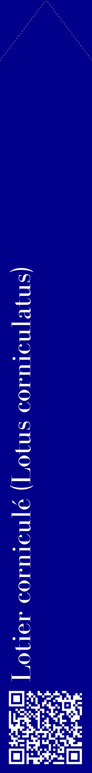 Étiquette de : Lotus corniculatus - format c - style blanche7_simplebod avec qrcode et comestibilité