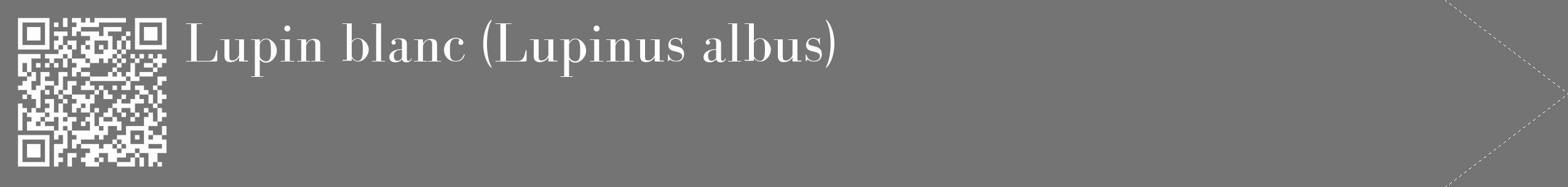 Étiquette de : Lupinus albus - format c - style blanche26_simple_simplebod avec qrcode et comestibilité