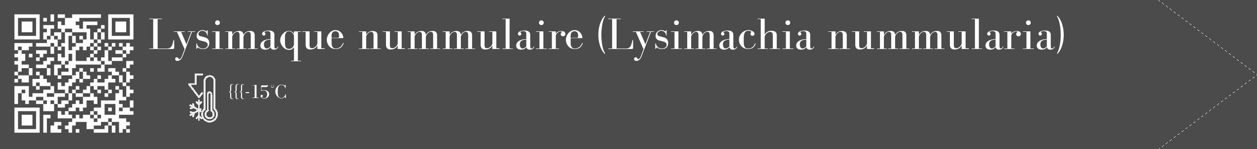 Étiquette de : Lysimachia nummularia - format c - style blanche9_simple_simplebod avec qrcode et comestibilité