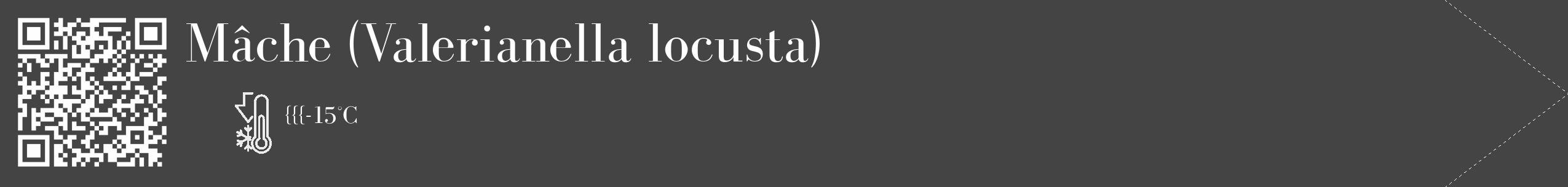 Étiquette de : Valerianella locusta - format c - style blanche48_simple_simplebod avec qrcode et comestibilité