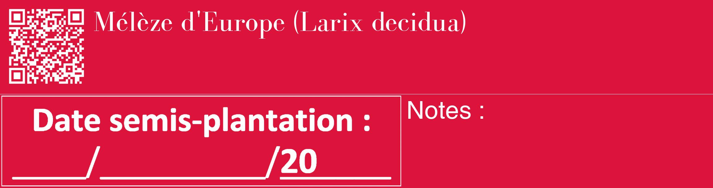 Étiquette de : Larix decidua - format c - style blanche36_basique_basiquebod avec qrcode et comestibilité
