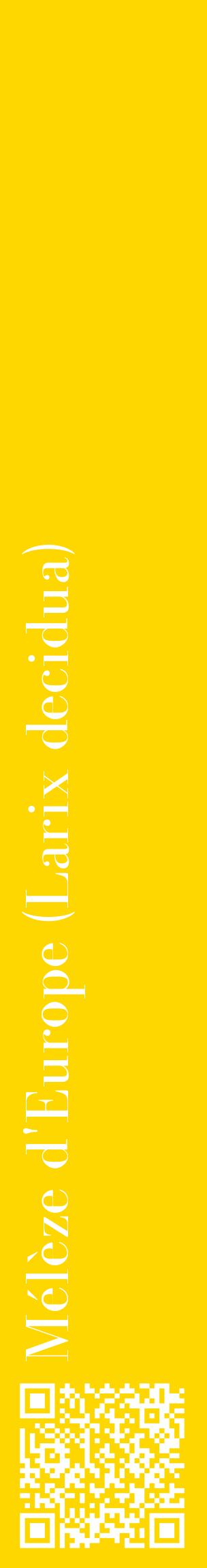 Étiquette de : Larix decidua - format c - style blanche21_basiquebod avec qrcode et comestibilité