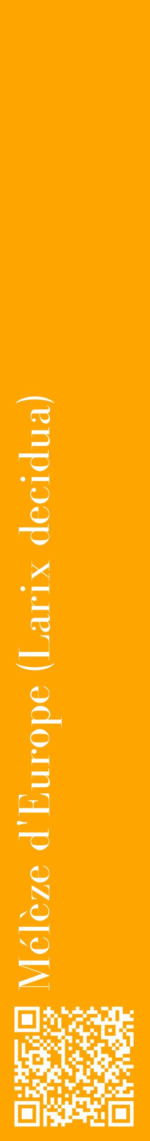 Étiquette de : Larix decidua - format c - style blanche22_basiquebod avec qrcode et comestibilité
