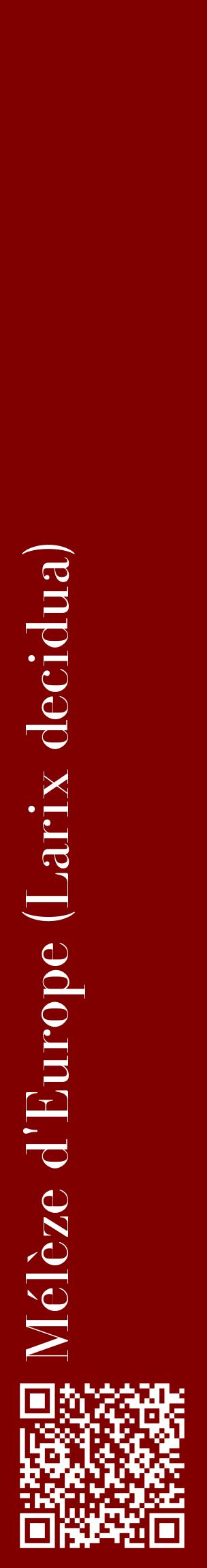 Étiquette de : Larix decidua - format c - style blanche29_basiquebod avec qrcode et comestibilité