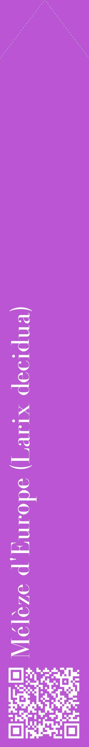 Étiquette de : Larix decidua - format c - style blanche50_simplebod avec qrcode et comestibilité