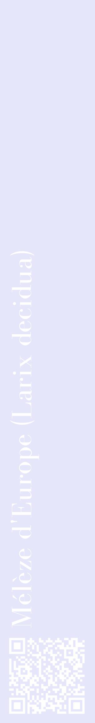 Étiquette de : Larix decidua - format c - style blanche55_basiquebod avec qrcode et comestibilité