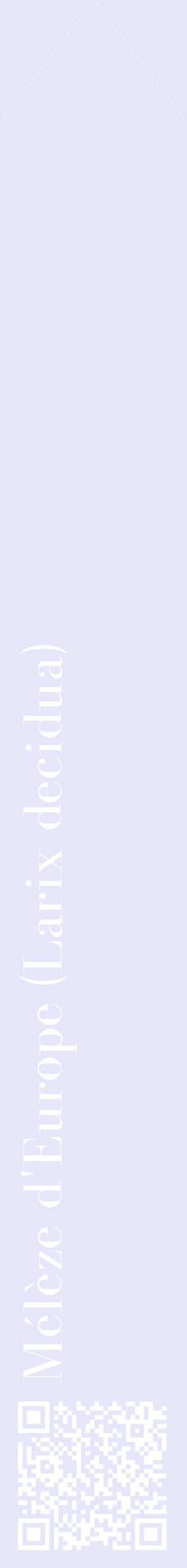 Étiquette de : Larix decidua - format c - style blanche55_simplebod avec qrcode et comestibilité