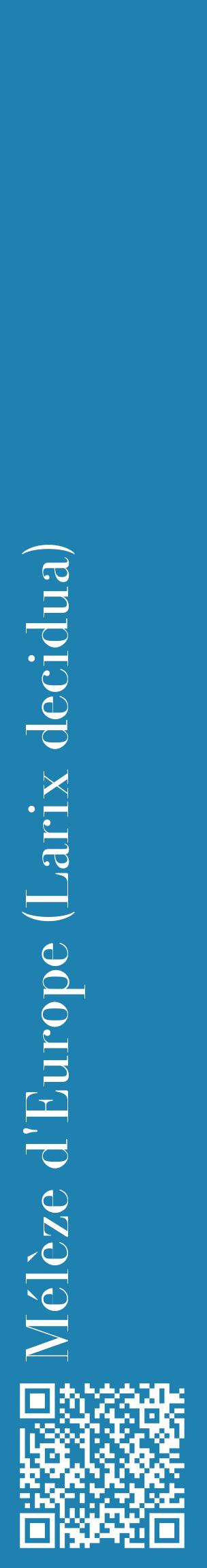 Étiquette de : Larix decidua - format c - style blanche6_basiquebod avec qrcode et comestibilité
