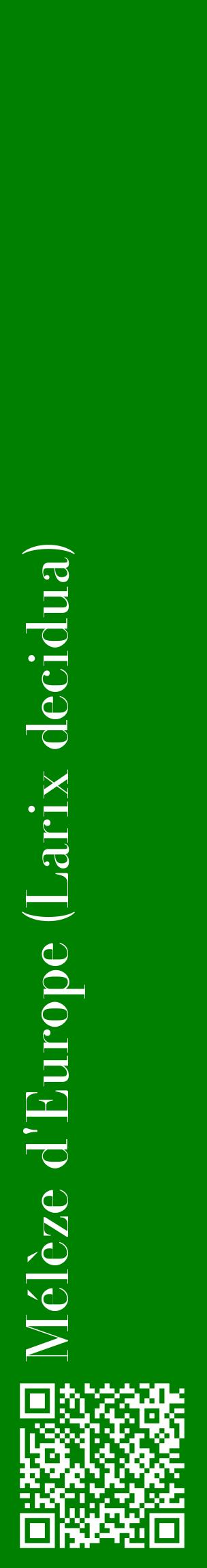 Étiquette de : Larix decidua - format c - style blanche9_basiquebod avec qrcode et comestibilité