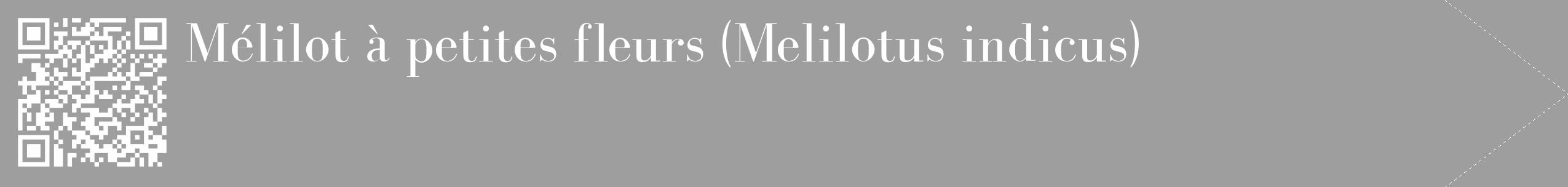 Étiquette de : Melilotus indicus - format c - style blanche23_simple_simplebod avec qrcode et comestibilité