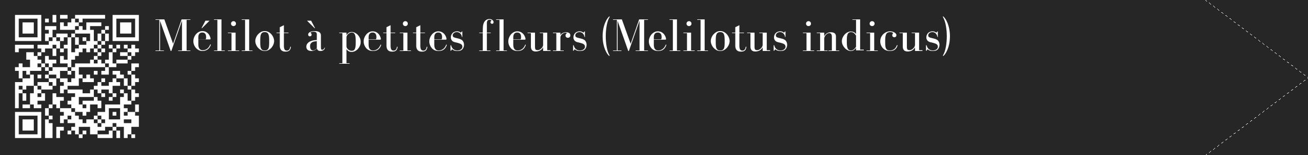 Étiquette de : Melilotus indicus - format c - style blanche29_simple_simplebod avec qrcode et comestibilité