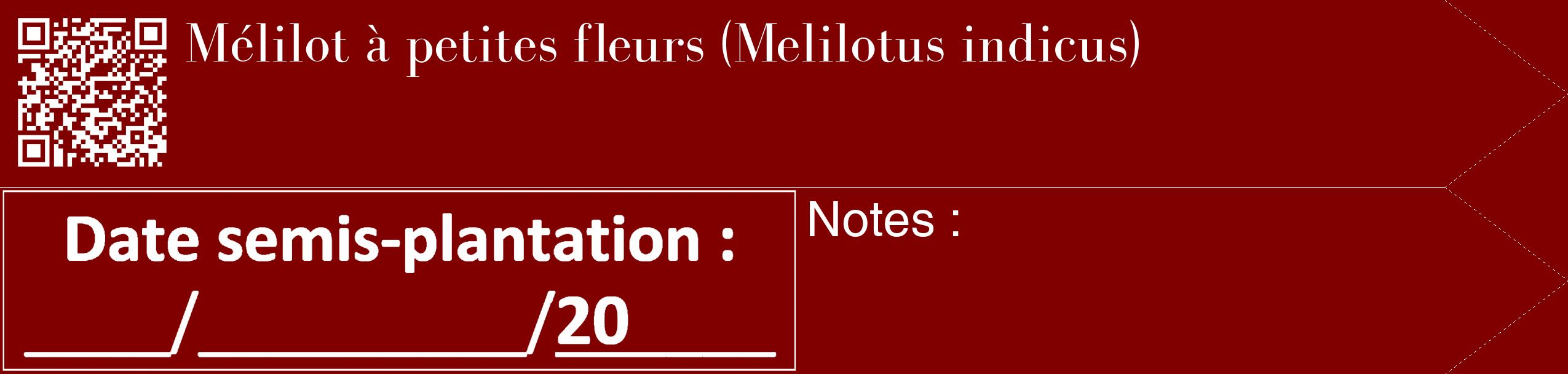 Étiquette de : Melilotus indicus - format c - style blanche29_simple_simplebod avec qrcode et comestibilité