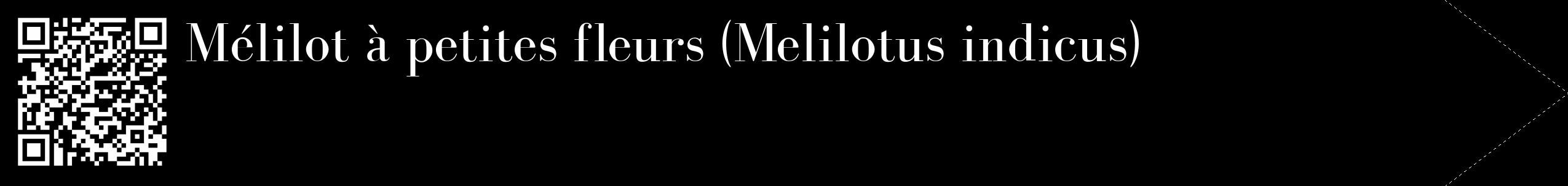 Étiquette de : Melilotus indicus - format c - style blanche59_simple_simplebod avec qrcode et comestibilité