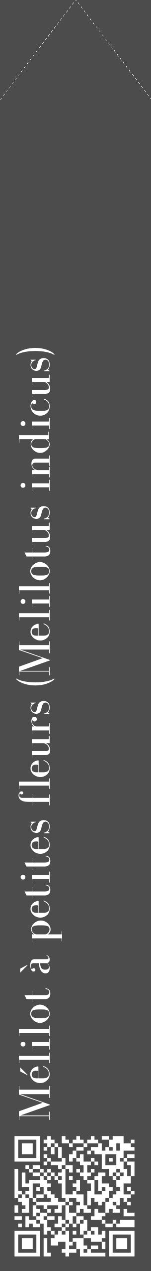 Étiquette de : Melilotus indicus - format c - style blanche27_simple_simplebod avec qrcode et comestibilité - position verticale