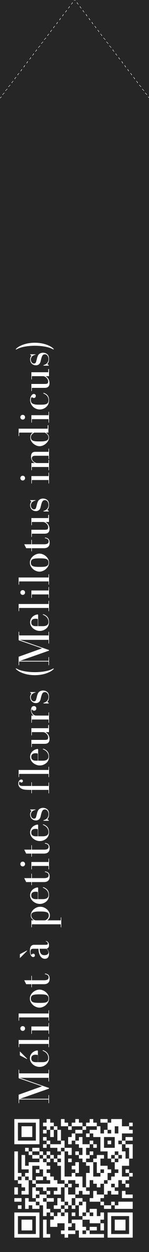 Étiquette de : Melilotus indicus - format c - style blanche29_simple_simplebod avec qrcode et comestibilité - position verticale