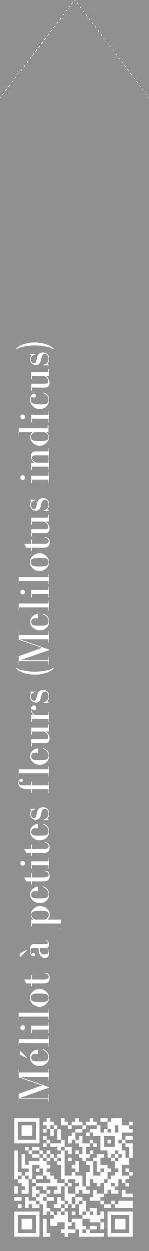Étiquette de : Melilotus indicus - format c - style blanche4_simple_simplebod avec qrcode et comestibilité - position verticale