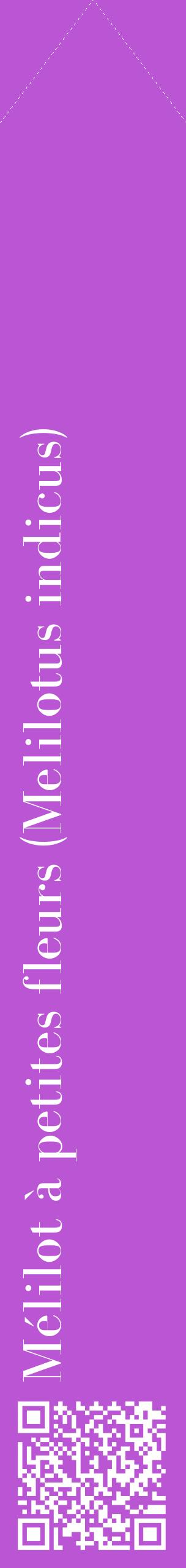 Étiquette de : Melilotus indicus - format c - style blanche50_simplebod avec qrcode et comestibilité