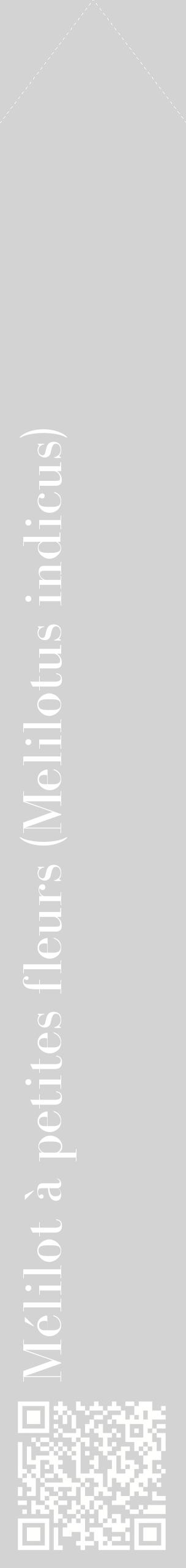 Étiquette de : Melilotus indicus - format c - style blanche56_simplebod avec qrcode et comestibilité