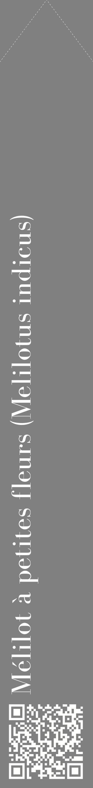 Étiquette de : Melilotus indicus - format c - style blanche57_simplebod avec qrcode et comestibilité